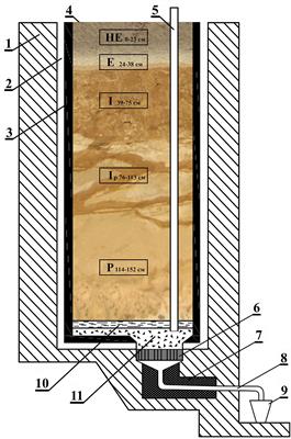 Vertical migration of nutrients and water-soluble organic matter in the soil profile under pre-sowing seed treatment with plant growth promoting rhizobacteria
